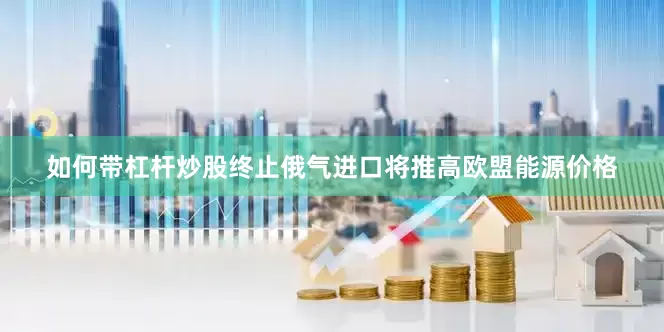 如何带杠杆炒股终止俄气进口将推高欧盟能源价格